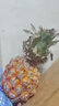 云南黑钻凤梨牛奶凤梨新鲜水果手撕凤梨现摘应季非菠萝整箱包邮 1个装小果 单果400g起 实拍图