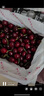 芫曦智利进口车厘子礼盒【JD/顺丰-多地次日达】5kg樱桃水果送礼品盒 5斤(净重) 精美礼盒 巨无霸3J 单果30-32mm 实拍图
