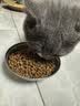 网易严选【小王子联名】全价猫粮 主粮宠物幼猫成猫主粮 均衡营养优选食材 【美毛亮肤】深海鱼虾 1.8kg*1袋 实拍图
