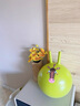 弥鹿（MiDeer）羊角球儿童感统锻炼加厚墩墩球室内户外训练跳跳球玩具幼儿园 呆呆马（直径40cm）贈充气筒 实拍图