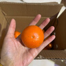 京喜加【双十一抢鲜】冰糖橙甜橙纯甜无酸水果 当季新鲜手剥橙现摘现发 带箱2.5斤 实拍图