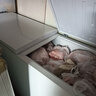 雪花熊系列冰柜商用大容量冷冻柜家用卧式冷柜大容量冷藏冷冻展示柜商用冷冻柜商用冷柜 828单温长1.98米铜管【可冷冻/可冷藏】 实拍图