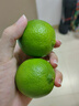 台湾品种 塔希提无籽青柠檬 香水柠檬 新鲜皮薄 多汁沁香 绿色 尝鲜装净重250g（精选果） 实拍图