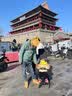 小虎子T18多口袋推车婴儿推车轻便折叠超大储物空间儿童遛娃推车 T18炭黑色-多口袋版 实拍图