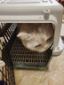 腆宠  宠物航空箱小号 猫咪航空箱猫狗 猫包猫笼外出车载猫箱狗狗托运 实拍图