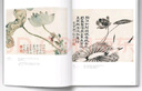经典全集《石涛画集》8开中国画临摹画册书籍技法教材花卉竹山水书画临本写意花鸟名作赏析鉴赏杨建飞主编 实拍图