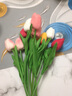 塔洛克（tulloch）郁金香假花仿真花摆设房间卧室客厅家居装饰餐桌摆件干花永生花束 5色混装10朵 实拍图