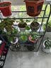 蜗家（WOJIA）花架子客厅阳台置物架户外落地多层铁艺花盆架壁挂式多肉架层架 Z6304深灰闪银 实拍图
