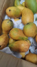 尔蝶海南小台农芒果10斤新鲜小台芒当季热带水果现摘甜心小芒果整箱 精选大果 单果90-120g-爆甜多汁 精选9斤装 净重8.5斤 实拍图