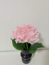 京东鲜花手感保湿绣球花仿真3d打印高档客厅餐桌乔迁摆花装饰假花拍照道具 实拍图
