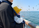 ERGObaby二狗背带婴儿抱娃神器四季透气外出旅行遛娃神器breeze解放双手 breeze透气款-午夜蓝 实拍图