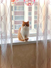 迪普尔猫砂铲不锈钢细孔金属猫铲屎铲子鸡屎铲猫铲子铲屎神器猫屎铲 实拍图