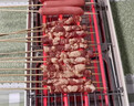 Aoran电烧烤炉电烤盘烤肉机室内无烟烧烤架家用烤串机多功能电烤架 红：升级款电烤炉+不锈钢粗烤网+接油盘+煎盘 1层 实拍图