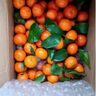 京鲜生 正宗广西砂糖橘 净重8斤 单果35-55mm精品果 源头直发包邮 实拍图