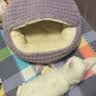 瓜洲牧猫窝冬季保暖狗窝秋冬宠物半封闭式狗狗过冬猫咪冬天钻被子贝壳窝 贝壳窝【升级保暖-紫色】 M码【直径50CM】20斤内宠物 实拍图