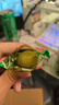珍田阁青梅脆爽青口梅称酸脆凉果水果蜜饯果脯酸梅子孕妇零食 【2罐】青梅脆 果干类 500g 实拍图
