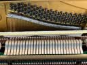 雅马哈（YAMAHA）U1H日本原装进口二手立式钢琴U3H 家用专业儿童初学者钢琴UX考级舞台演奏机械实木真钢琴U2H雅马哈 U1H [121CM 家庭高端 200万以上编号] 实拍图