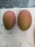 百橙恋四川攀枝花凯特芒果 新鲜大果当季时令生鲜芒果中秋送礼整箱水果 5斤大果【无礼盒】 实拍图