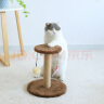 茨格曼猫抓板猫爬架一体耐磨不掉屑剑麻立式小猫玩具逗猫棒自嗨解闷麻绳 实拍图