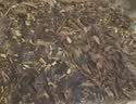 均尚新疆砖茶 新疆特产叶尔羌茯砖茶黑茶牧民奶茶专用特色茶叶自己喝 茯砖茶300克*2饼 实拍图