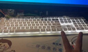 狼途L1静音键盘DSP环境降噪有线键鼠套装薄膜键盘电竞游戏家用办公平板电脑笔记本键盘耐磨防溅水发光 L1【低音】有线白色白光+T6静音鼠标 实拍图