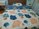 南极人（Nanjiren） 床上四件套纯棉100%纯棉全棉被套春秋被罩床笠款床单人床品套件4 优雅生活米-LQX【100%全棉】 1.8m 床单款 （被套200*230cm） 实拍图