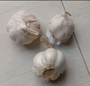 紫白皮蒜水果大蒜超市即食生鲜蔬菜大蒜 【福利专享】3头 50g 单果3.5-5cm 实拍图
