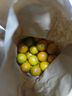 探味君 广西脆皮小金桔 应当季脆蜜滑黄皮小金桔橘桔子融安新鲜水果 净重2.8-3斤 小果（约55-70个/斤） 实拍图