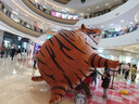 京鲜生 云南爱媛果冻橙 净重4.5-5斤 单果180g+ 中秋水果 源头直发包邮 实拍图