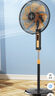 钻石牌（DIAMOND）风扇电风扇落地扇大风力家用客厅老式强力超大功率坐座地立式卧室遥控定时牛角扇2025新款 20英寸铝叶遥控 实拍图