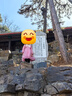 安妮优儿（Anneyol）女童连衣裙春秋款裙子2025新款儿童洋气秋装小女孩衣服红色公主裙 粉色棉里 140 实拍图