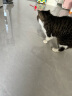 喵仙儿猫咪玩具自动逗猫球自嗨解闷智能逗猫棒消耗体力突突球电动逗狗球 实拍图