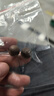 奇楠沉香散珠天然9.9分沉水沉香单珠diy文玩手工饰品手串配珠 9.9分沉水【12mm】单颗 实拍图
