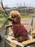 ISPET狗狗衣服宠物泰迪猫咪衣服金毛大中小型犬薄款四季通用&新疆棉 红色-部分码数升级两袖 XL 建议11-14斤 实拍图