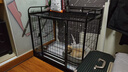 北鼻狗【升级全管加强 】狗笼中型犬大型犬狗笼子宠物狗狗笼子金毛用品 升级置物架加粗加密 黑色 94*64*85CM 建议70斤内 实拍图
