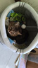 珑小宠猫窝冬天四季通用封闭式猫屋别墅狗窝小型犬加厚猫狗窝猫床猫舍 英短窝大号 实拍图