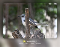 尼康（Nikon）Z50II（Z50ii/ Z502 / Z50二代 )入门级微单套机 街拍Vlog（Z DX 18-140mm f/3.5-6.3 VR） 晒单实拍图