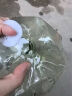 安赛瑞 喷壶 气压式大容量塑料洗车园艺喷雾器 1.5L 透明奶绿 5J00468 实拍图