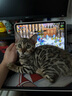 帕缇朵c3猫粮全期成猫猫粮幼奶糕无谷低敏配方猫粮 牛肉蔬菜味（10KG） 实拍图