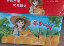 生活＆好管家 四川春见耙耙柑新鲜水果应季橘子现摘孕妇水果整箱桔子橘子 优选级市场果 8.5-9斤【单果80-90mm】净重8斤 实拍图