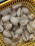 鲜活蛤蜊海捕无沙新鲜花甲贝类生鲜花蛤超大美贝蚬子海鲜水产顺丰 鲜活共3斤（2斤送1斤） 实拍图