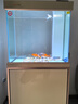 森森（SUNSUN）鱼缸水族箱客厅免换水风水家用金鱼缸 0.6米长 34.6cm宽 时尚底滤(黑白灰可选) 晒单实拍图