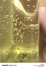 绿力 橄榄VE护肤甘油滋润保湿手足护手甘油全身护肤 120ml*3瓶 实拍图