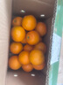 京喜加【25年鲜橙】云南冰糖橙新鲜采摘秋橙当季新鲜水果 带箱5斤60-65mm 实拍图