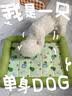 贝初众狗窝夏季狗窝中小型犬四季通用狗垫子睡垫猫窝夏天宠物窝比熊凉席 S【适合5斤内宠物】45*33cm 透气清爽/防水隔凉 清新牛油果窝【不粘毛/耐抓磨】 实拍图