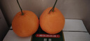 泰汇吃四川蒲江不知火丑橘 丑八怪丑柑新鲜时令应季水果 整9-10斤精选好果【75-80MM】净8.5 实拍图