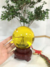 白水晶球摆件风水摆件白色水晶人造水晶球玻璃球客厅玄关书房装饰 黄色水晶球6cm+底座 实拍图