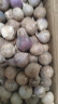 京喜自营云南蒜独头蒜调料京东买菜蔬菜新鲜独头蒜 【精选】独头蒜（单果2CM-） 3斤 毛重 实拍图