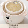九阳（Joyoung）电炖锅炖盅 快炖隔水炖锅多功能锅婴儿宝宝辅食锅bb煲汤锅 燕窝炖盅 炖汤锅蒸锅 一锅三胆 GD187 实拍图