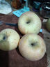 同甘园 正宗天然冰糖心苹果富士 脆甜新鲜山西时令应季丑苹果 节日送礼 整3.5-4斤单果80-85MM净3斤 实拍图